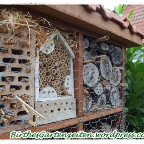 [Insektenhotel] – Vögel als Insektenräuber ! Tipps zur Vorbeugung…