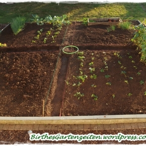 [Garten] Projekt Bauerngarten, Teil 1 – unser (Nutz-) Garten soll schöner werden…