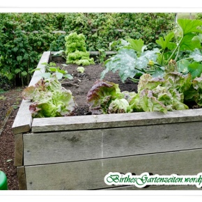 [Tagebuch 29.6.17] Ideales Garten- und Saatwetter – Tomaten, Salat, Radies, Lauchzwiebeln,