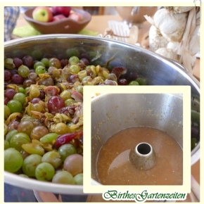 [Weintrauben] Trauben einfach entsaften im Dampfentsafter  – ohne Zusätze !