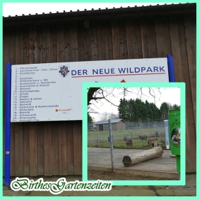 Wanderung 17.11.19: Bad Marienberg – Wildpark, Basalt, Wolfsteine…