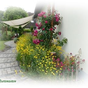Tagebuch 28.6.21: Naturgarten-Beet im Juni…