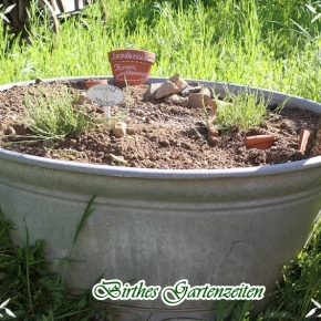 [Naturgarten, Wildbienen] Ein Mini – Sandarium in der Zinkwanne …